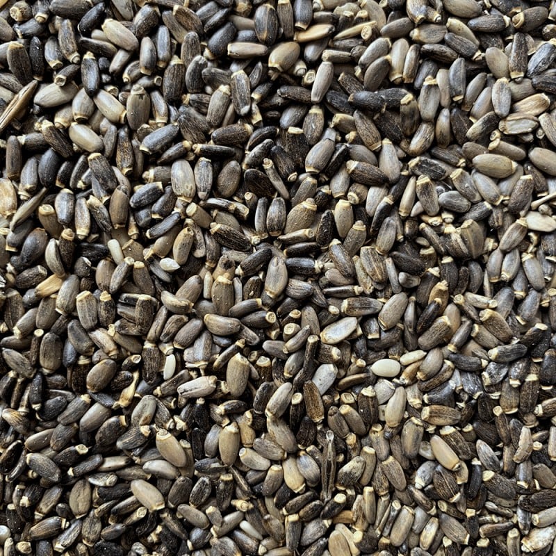 NuVena Herbs Ostropestřec mariánský, 1 kg